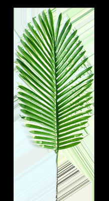 ใบเทียม ใบเทียมที่มนุษย์ทํา ใบเทียม PALM เครื่องพ่นฉีด