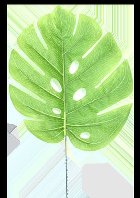 ใบเทียม ใบเทียมที่มนุษย์ทํา ใบเทียม PALM เครื่องพ่นฉีด